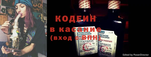 ГАЛЛЮЦИНОГЕННЫЕ ГРИБЫ Семёнов
