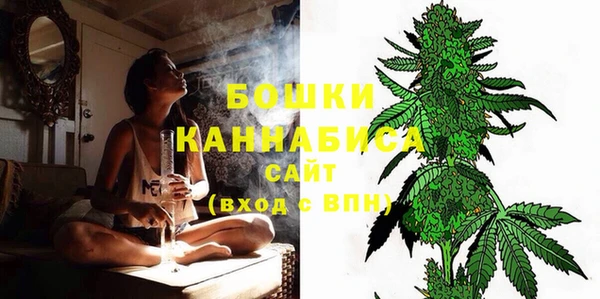 PSILOCYBIN Верея